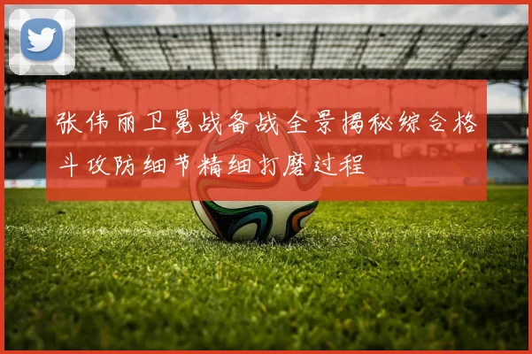张伟丽卫冕战备战全景揭秘综合格斗攻防细节精细打磨过程